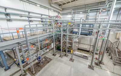 Process engineer